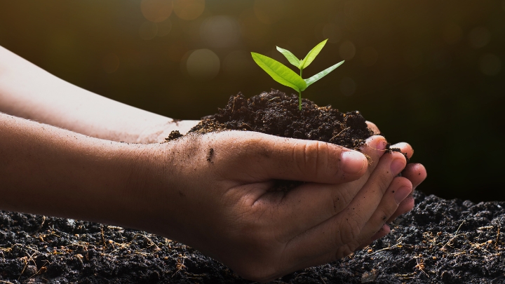 vaciado de pisos Bizkaia